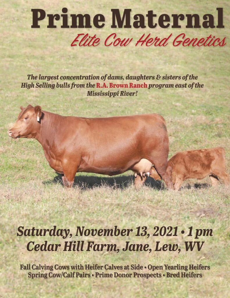 Cedar Hill Farms - Fall 2021 Female Sale