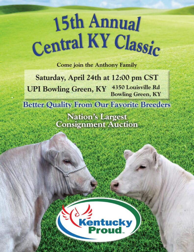 Central Kentucky Classic - 2021 Charolais Classic Sale