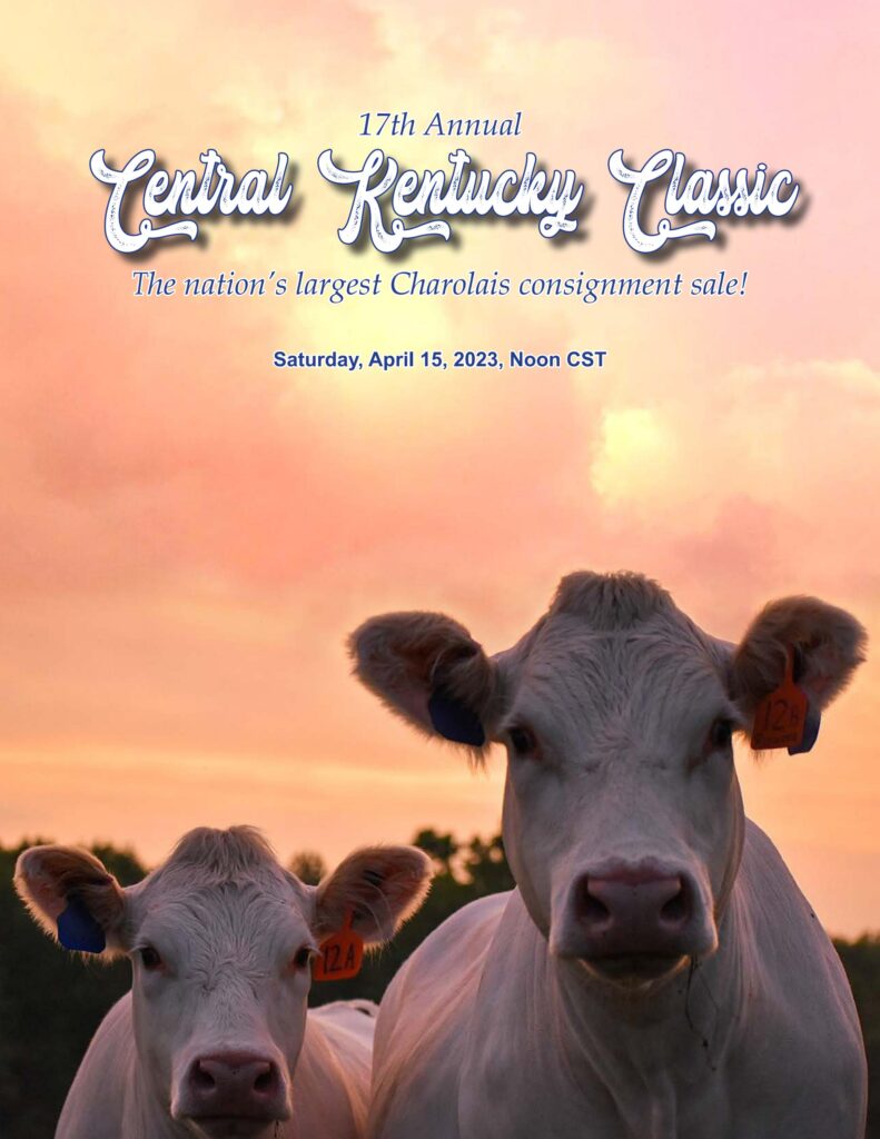 Central Kentucky Classic - 2023 Charolais Classic Sale