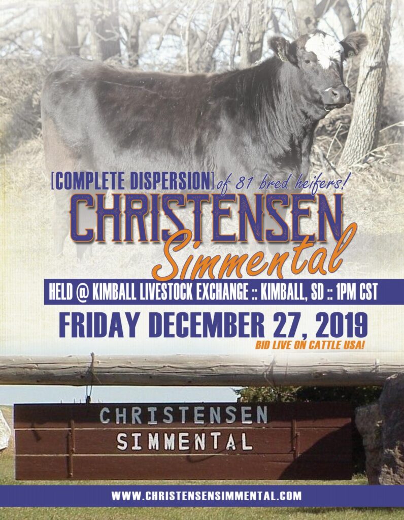 Christensen Simmental - 2019 Bred Heifer Dispersion Sale