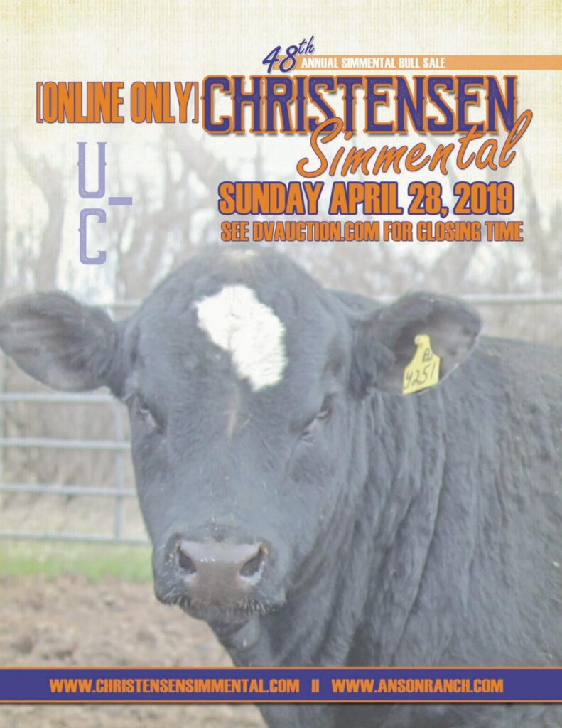 Christensen Simmental - 2019 Bull Sale