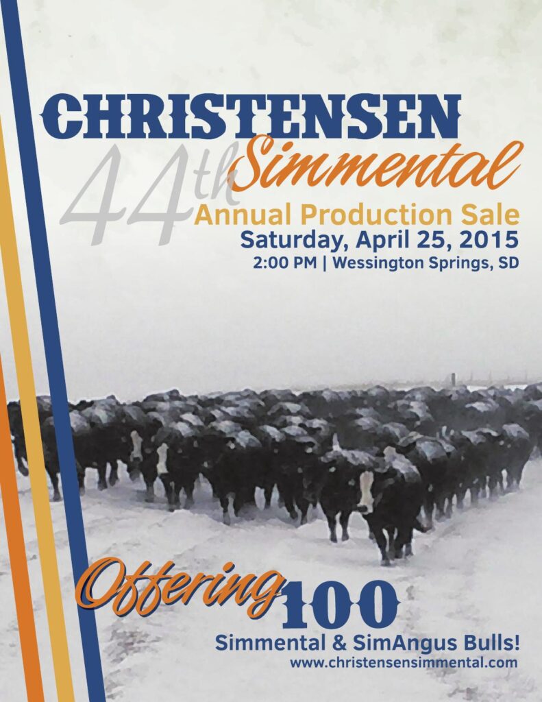 Christensen Simmental - 44th Annual Simmental Production Sale