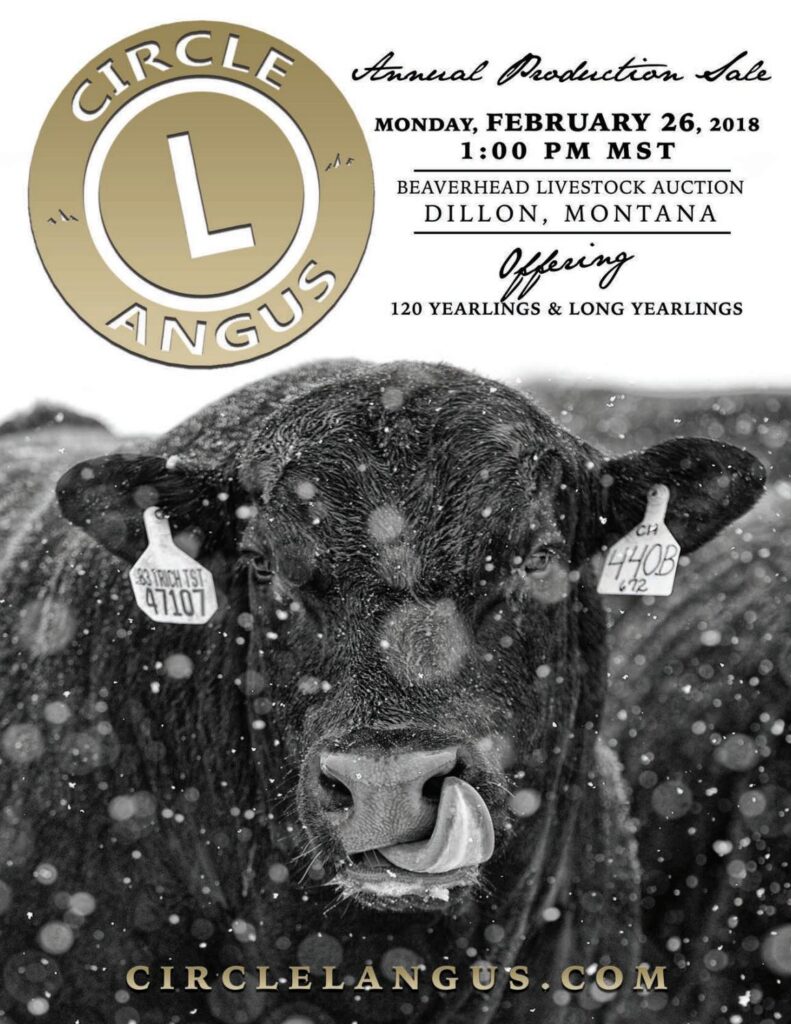 Circle L Angus - 2018 Bull Sale