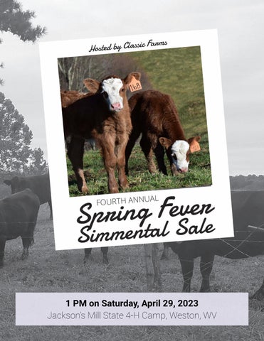 Classic Sales - 2023 Spring Fever Sale