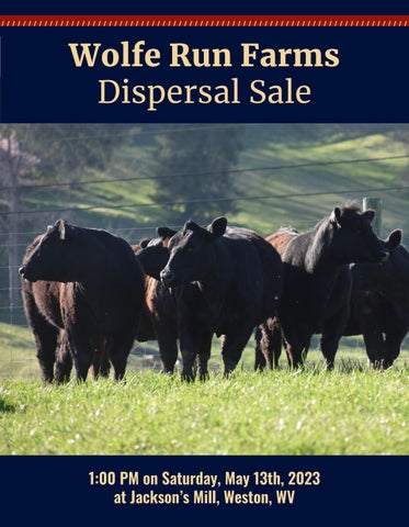 Classic Sales - Wolfe Run Dispersal Sale