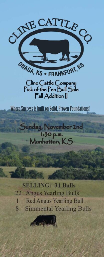 Cline Cattle Company - 2014 Pick of the Pen Bull Sale