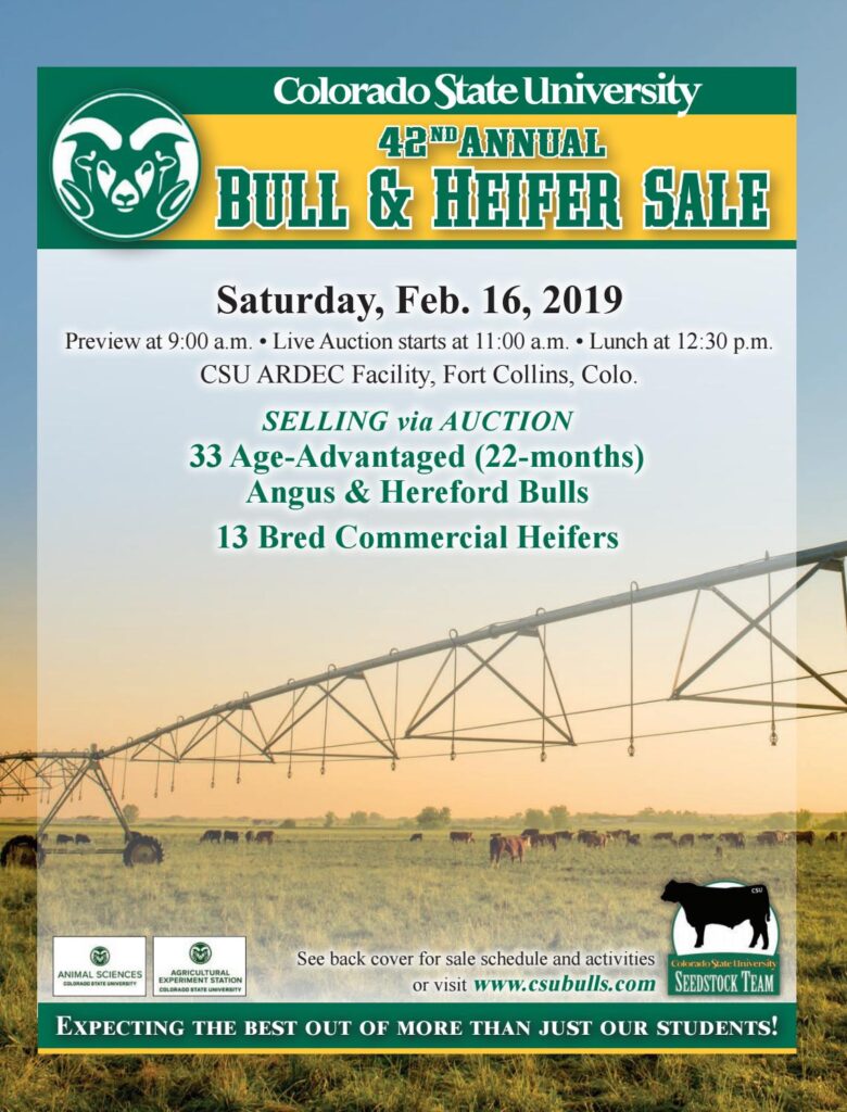 Colorado State University - 2019 Bull Sale