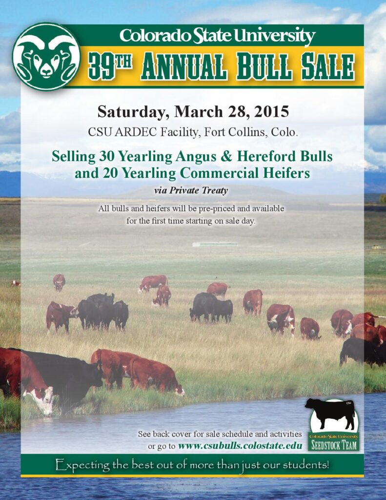 Colorado State University - 39th Annual Bull Sale