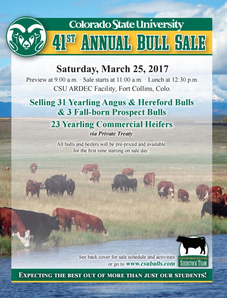 Colorado State University - 41st Annual Bull Sale