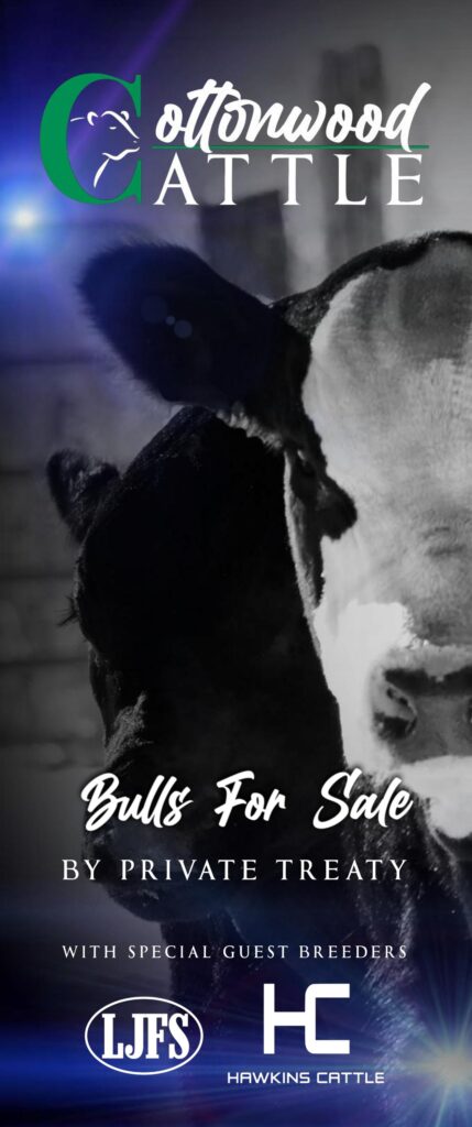 Cottonwood Cattle - 2023 Spring Sale