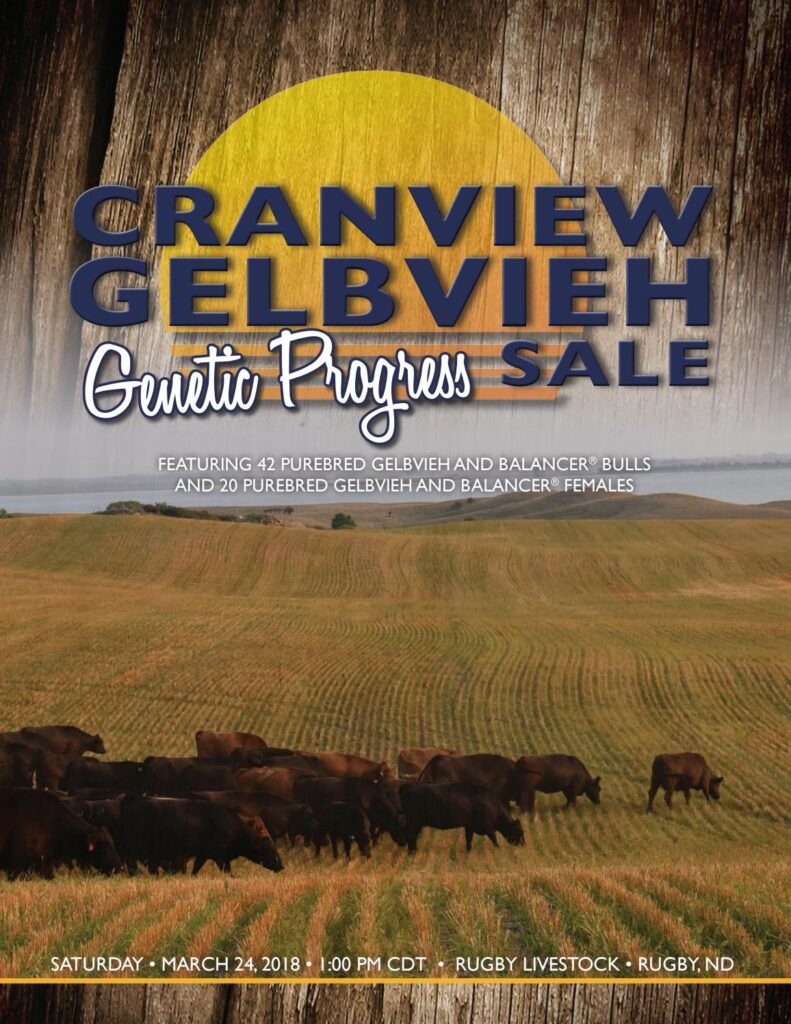 Cranview Gelbvieh - 2018 Bull Sale