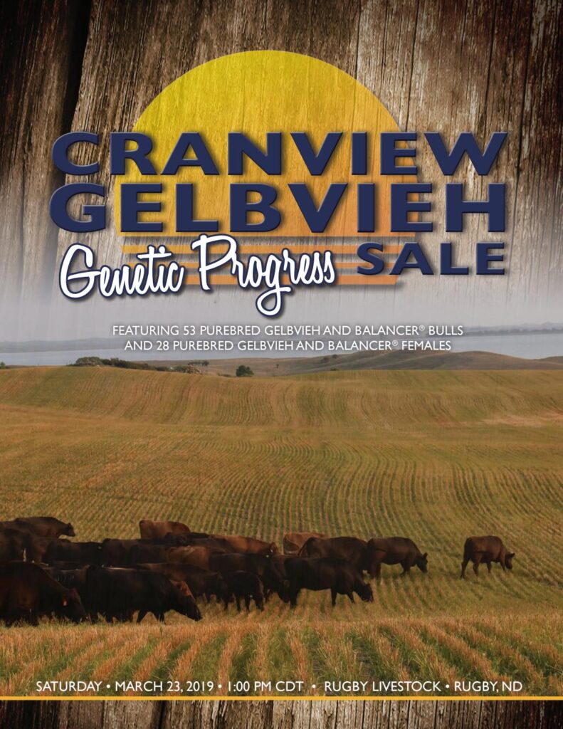 Cranview Gelbvieh - 2019 Sale