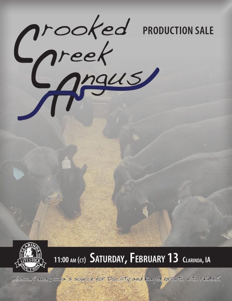 Crooked Creek Angus - 2016 Production Sale
