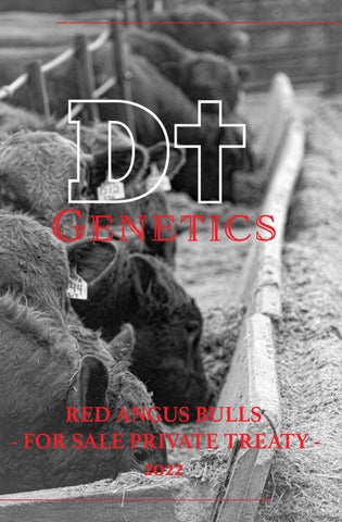 D-Cross Genetics - 2022 Spring Sale