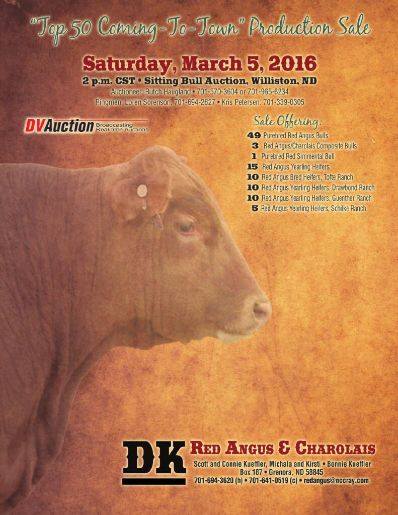 DK Red Angus & Charolais - "Top 50 Coming-To-Town" Production Sale