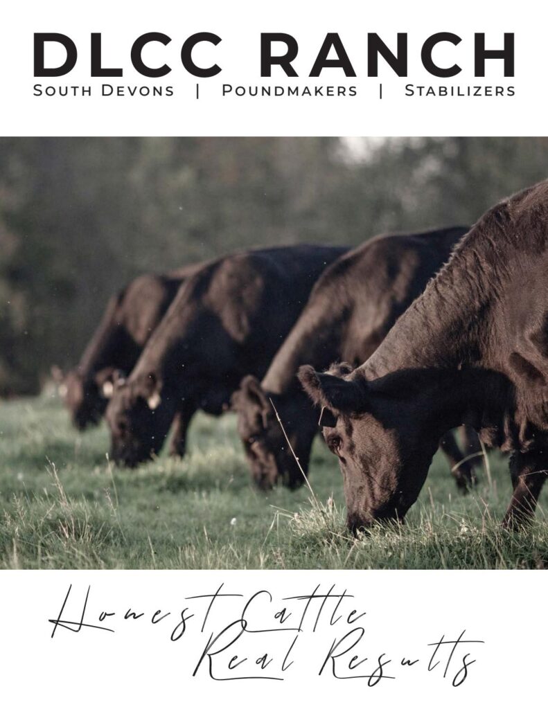 DLCC Ranch - 2019 Sale