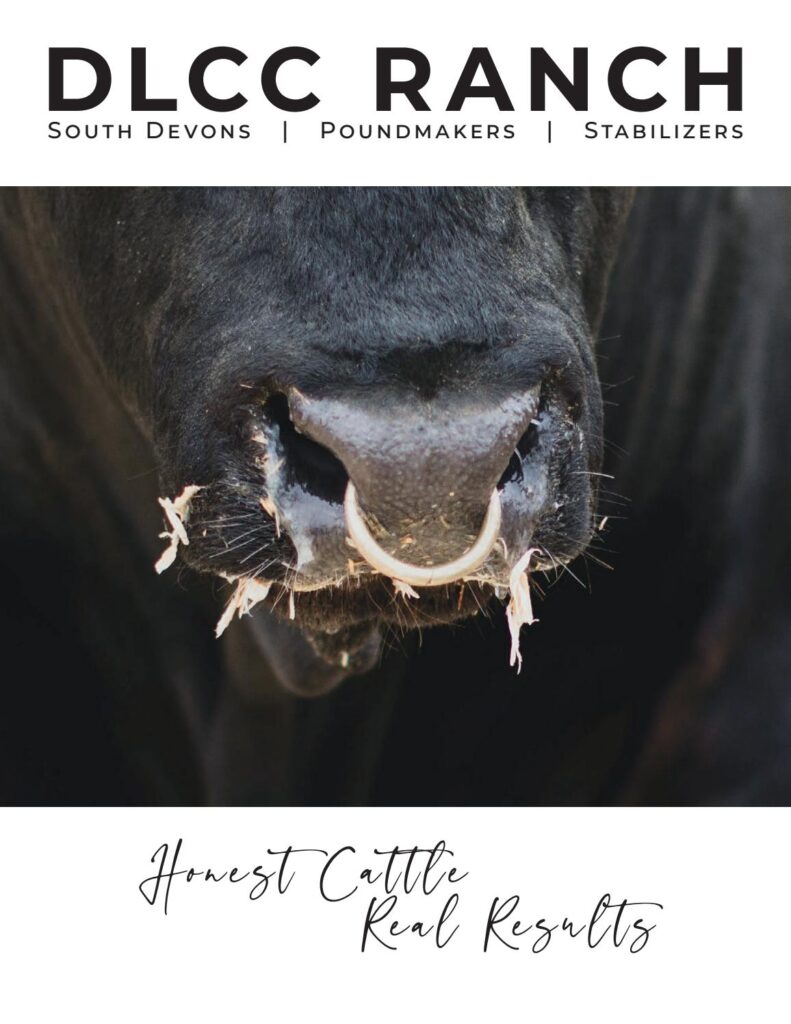 DLCC Ranch - 2020 Sale