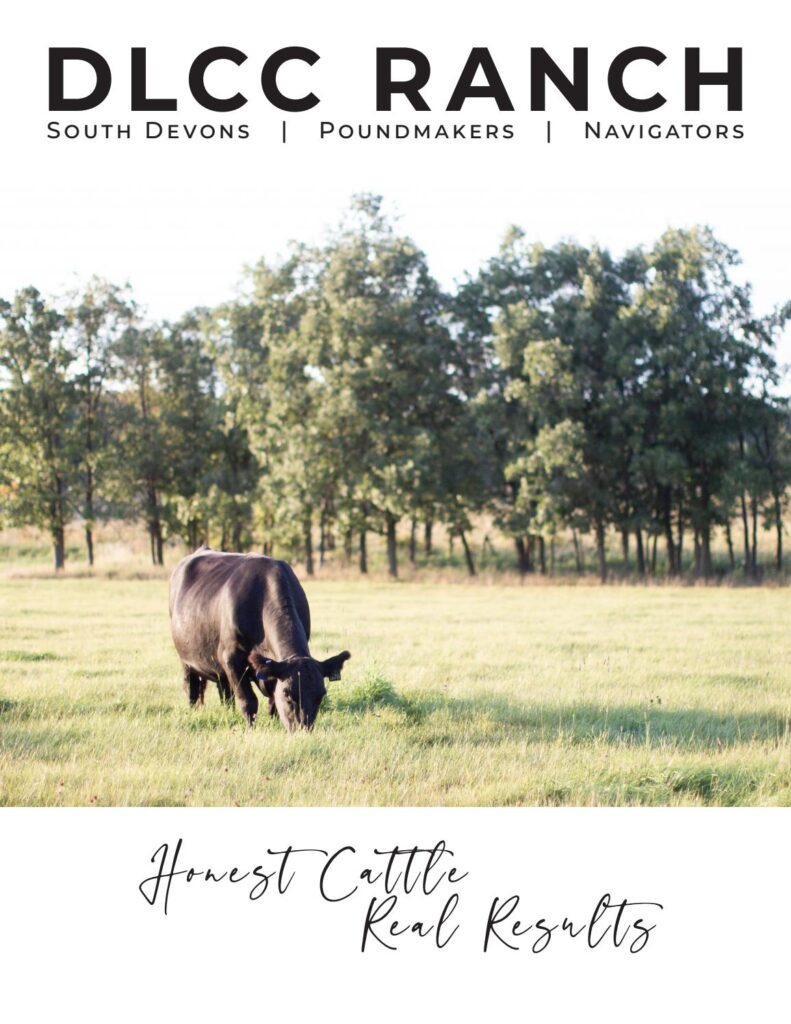 DLCC Ranch - 2021 Spring Sale