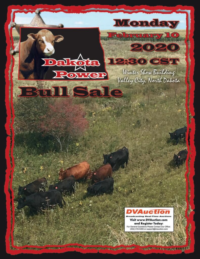 Dakota Power - 2020 Bull Sale