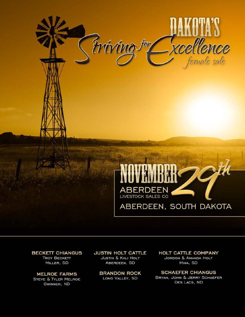 Dakota's Striving for Excellence - 2014 Female Sale