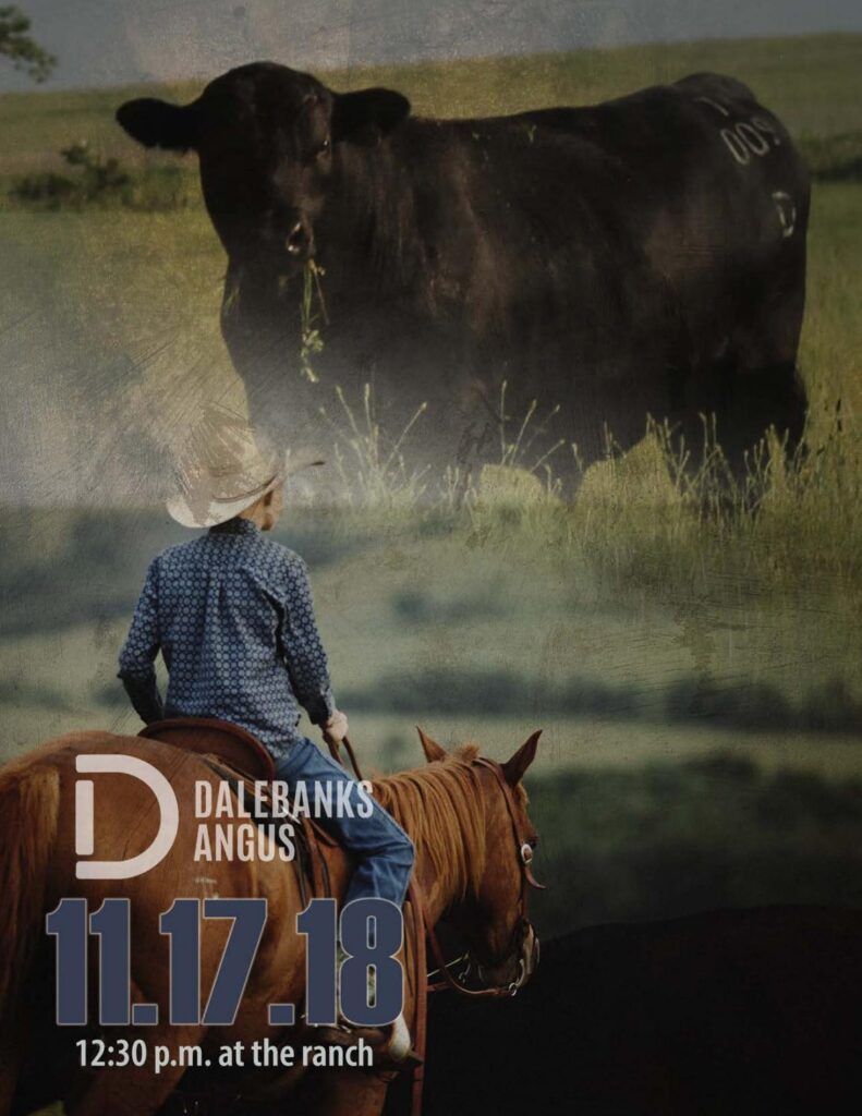 Dalebanks Angus - 2018 Bull Sale