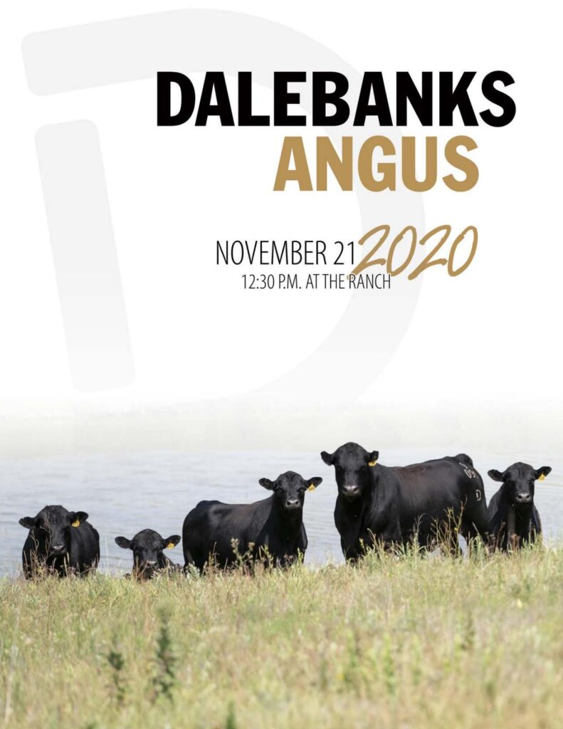 Dalebanks Angus - 2020 Fall Bull Sale