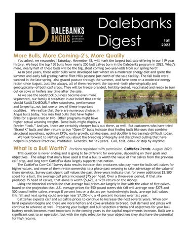 Dalebanks Angus - 2023 Fall Bull Sale