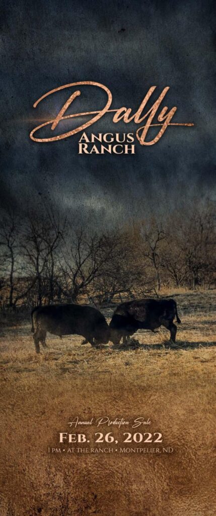 Dally Angus - 2022 Spring Bull Sale