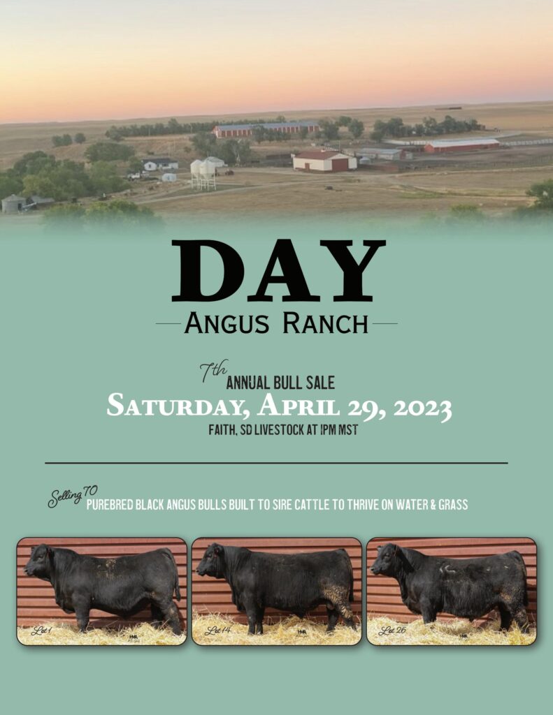 Day Angus Ranch - 2023 Spring Sale
