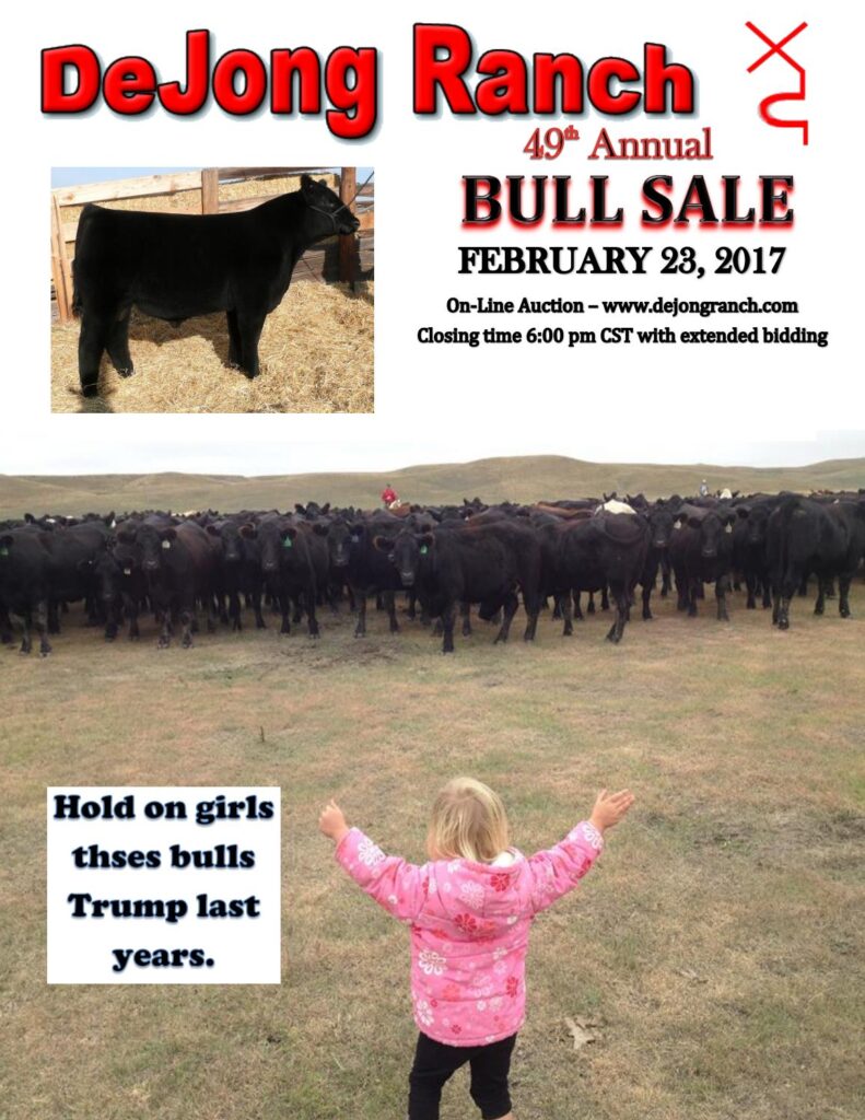 DeJong Ranch - 2017 Bull Sale