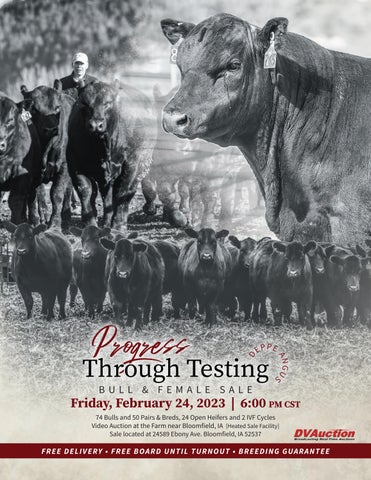 Deppe Angus - 2023 Spring Sale