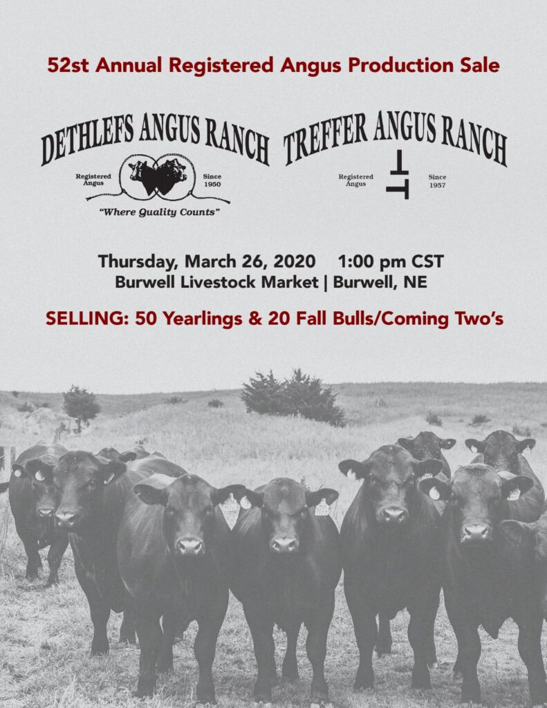 Dethlefs/Treffer Angus Ranch - 2020 Bull Sale