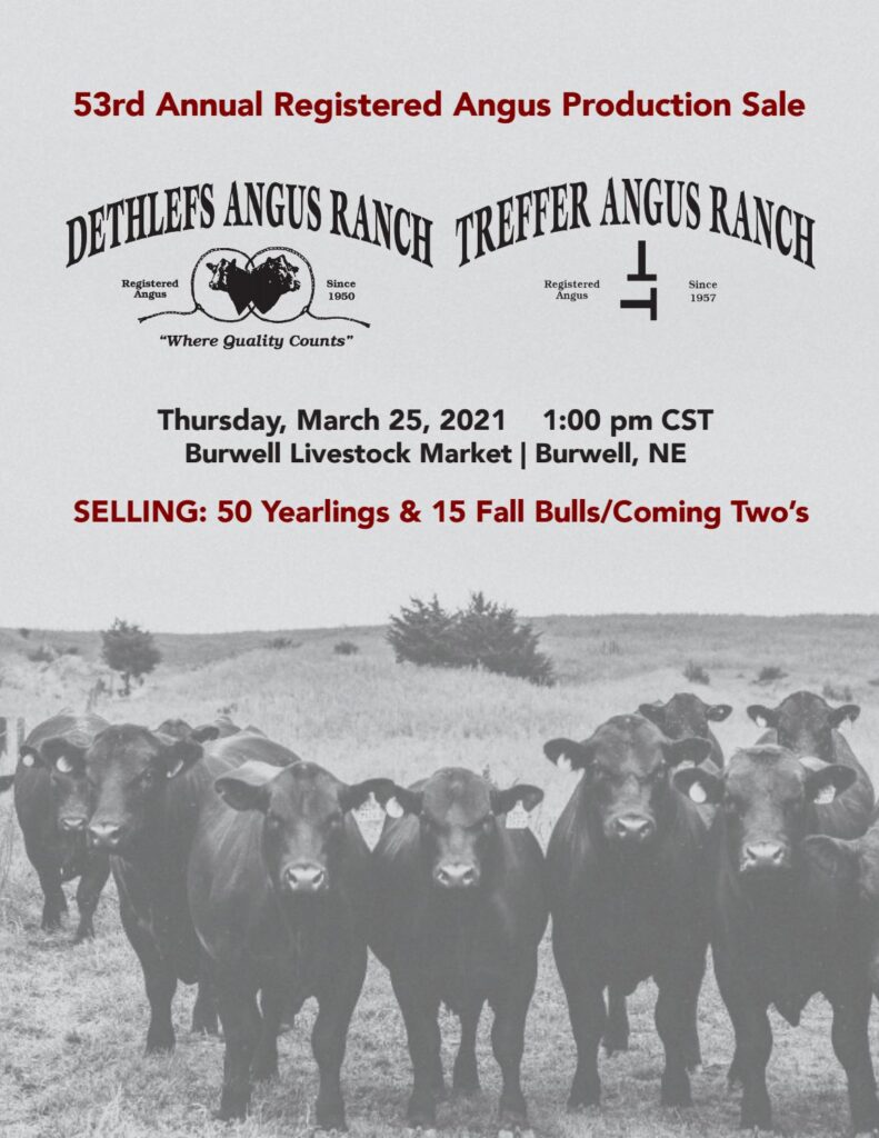 Dethlefs/Treffer Angus Ranch - 2021 Spring Bull Sale