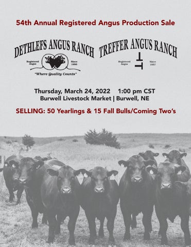 Dethlefs/Treffer Angus Ranch - 2022 Spring Bull Sale