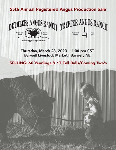 Dethlefs/Treffer Angus Ranch - 2023 Spring Bull Sale