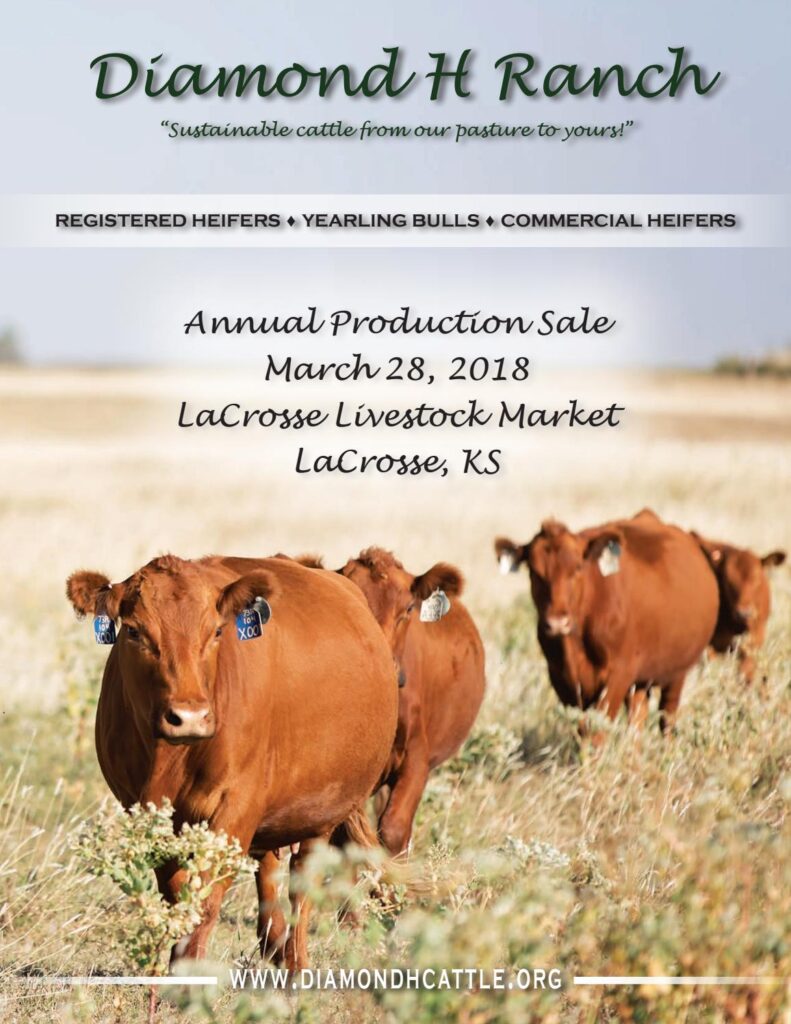 Diamond H Ranch - 2018 Bull Sale