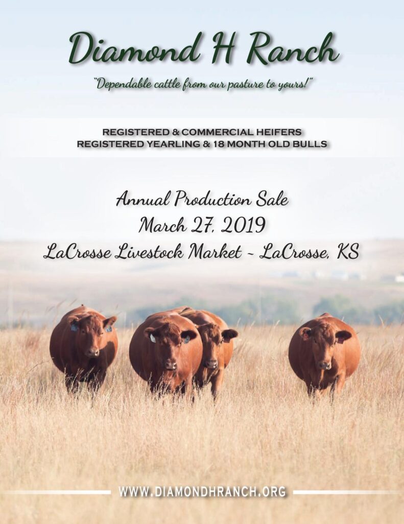 Diamond H Ranch - 2019 Bull Sale