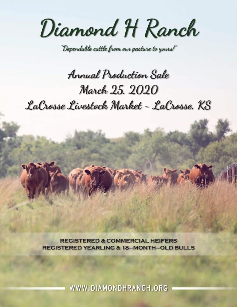 Diamond H Ranch - 2020 Sale