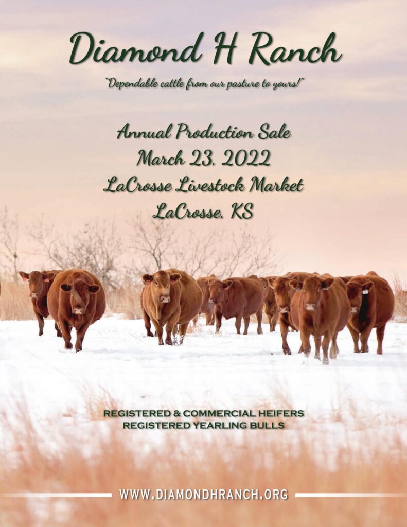 Diamond H Ranch - 2022 Spring Sale
