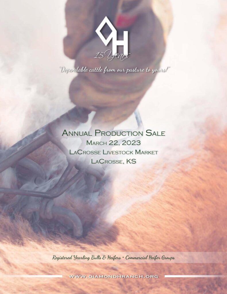 Diamond H Ranch - 2023 Spring Sale
