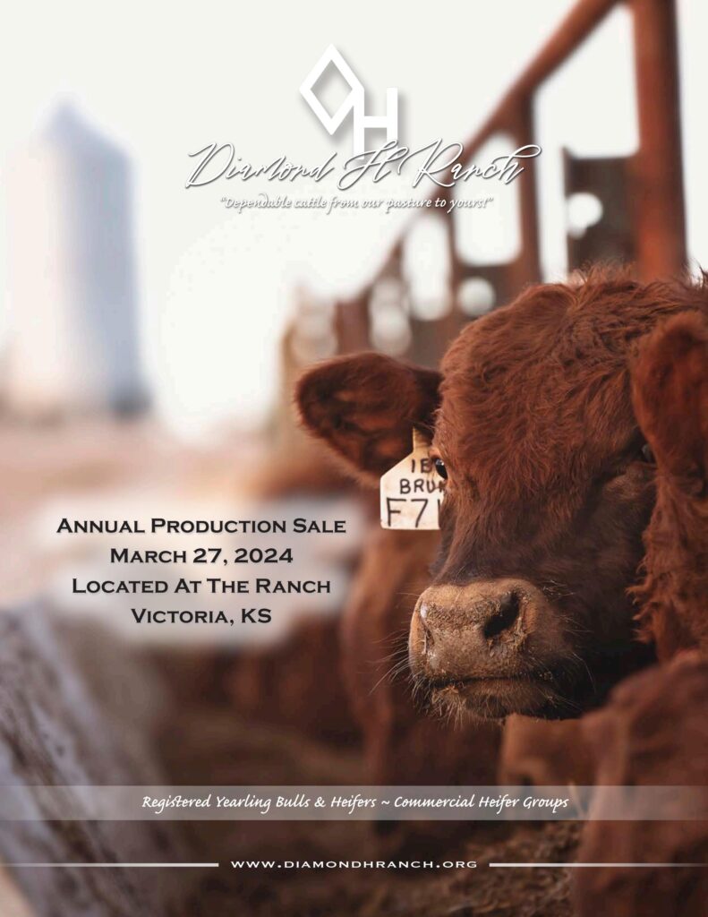 Diamond H Ranch Annual Production Sale