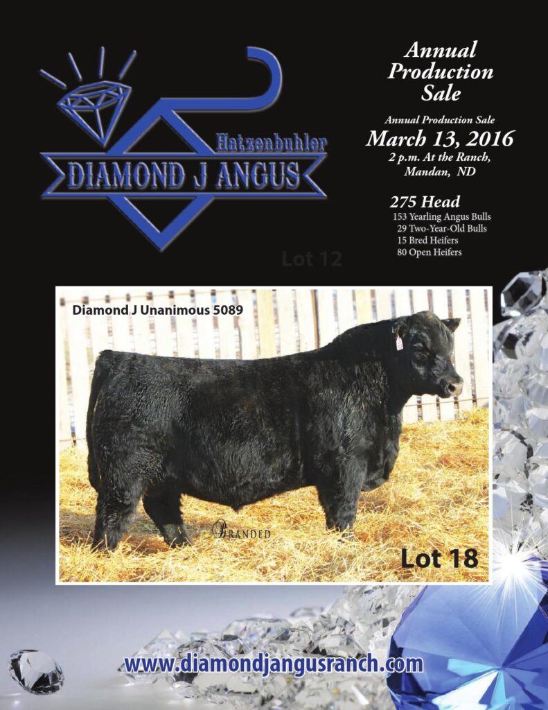 Diamond J Angus - 2016 Production Sale