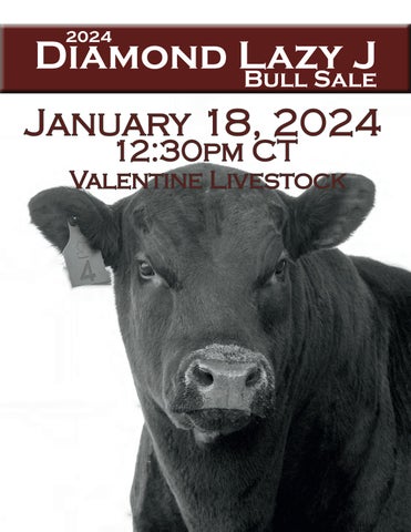 Diamond Lazy J Bull Sale
