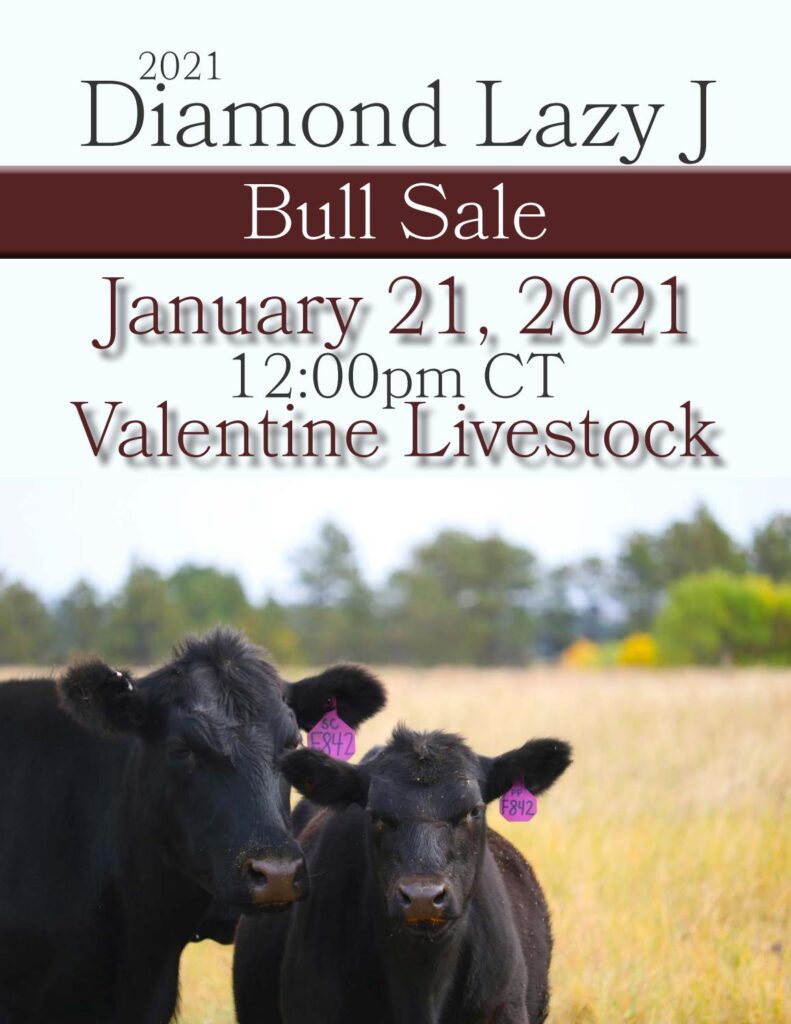 Diamond Lazy J Ranch - 2021 Spring Bull Sale