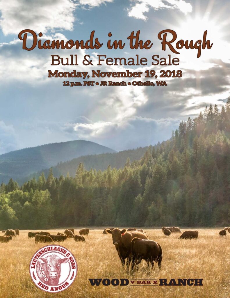 Diamonds in the Rough - 2018 Fall Sale