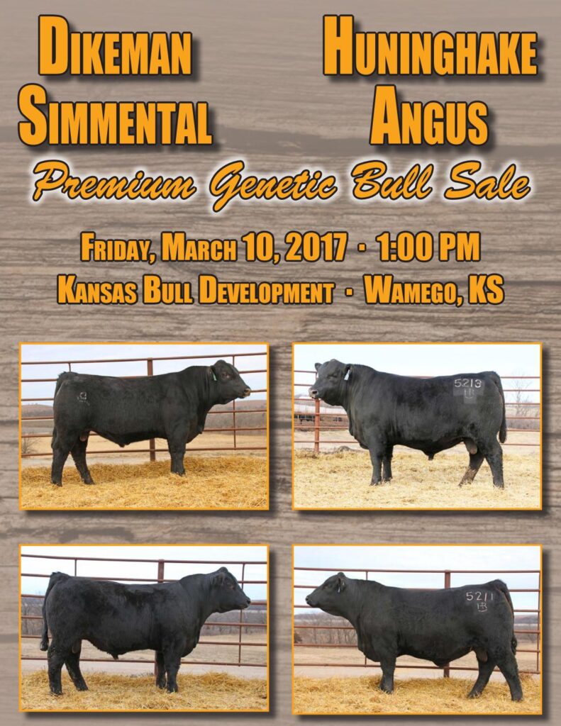 Dikeman Simmental and Huninghake Angus - 2017 Sale