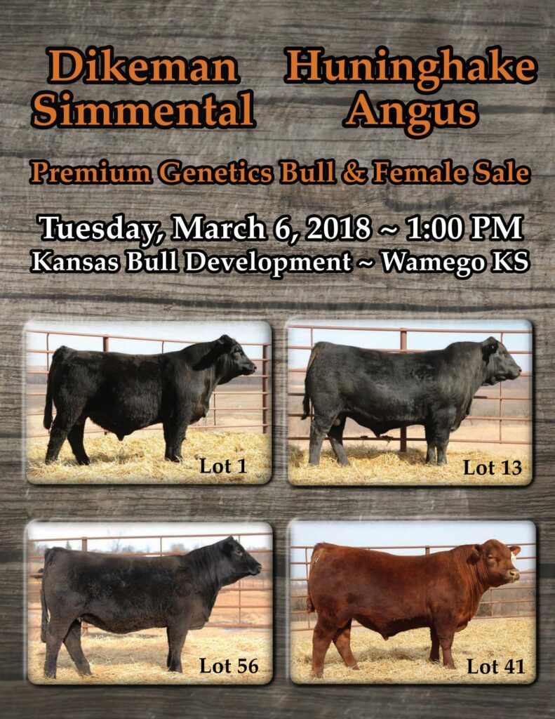 Dikeman Simmental and Huninghake Angus - 2018 Sale