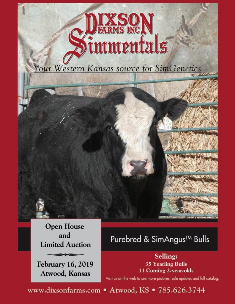 Dixson Farms - 2019 Bull Sale