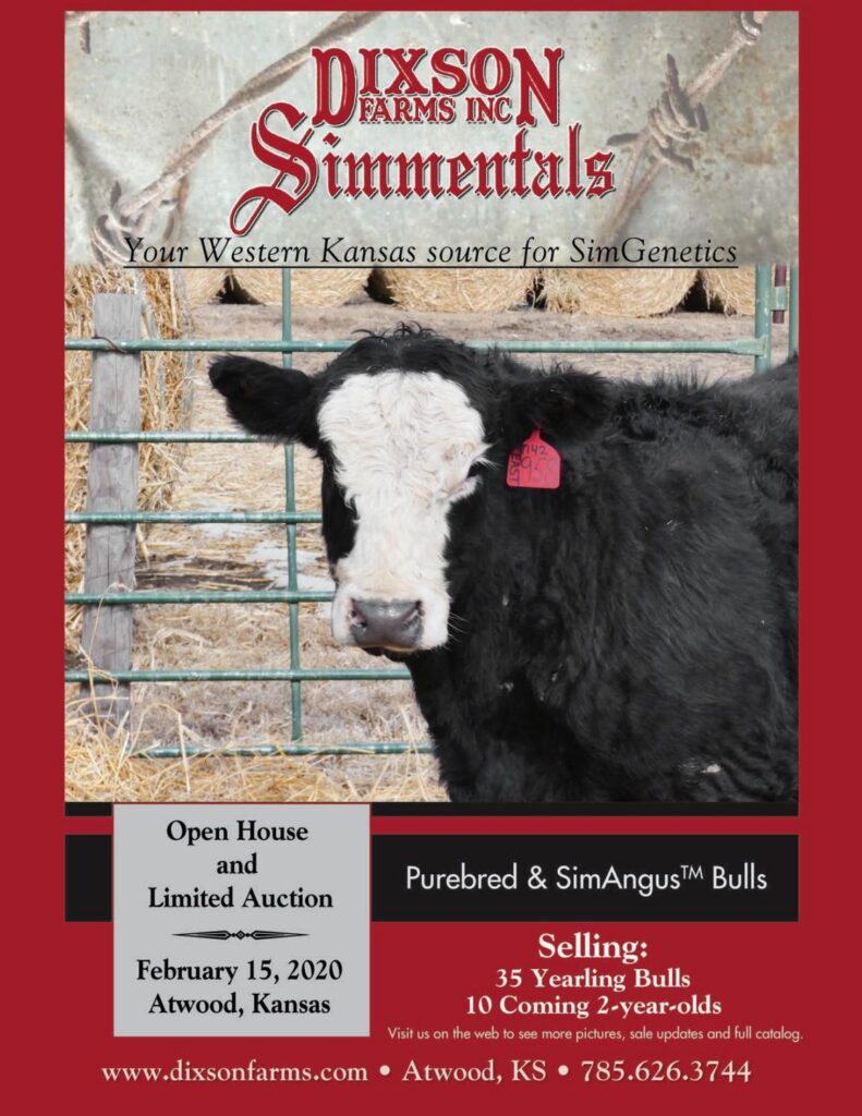 Dixson Farms - 2020 Bull Sale