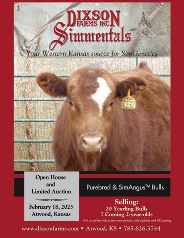 Dixson Farms - 2023 Spring Bull Sale